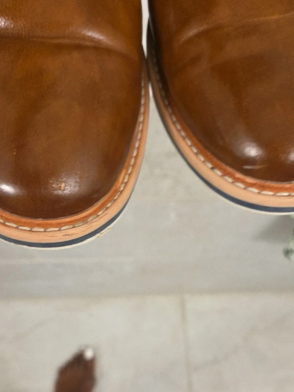 Steve Madden classic brown
